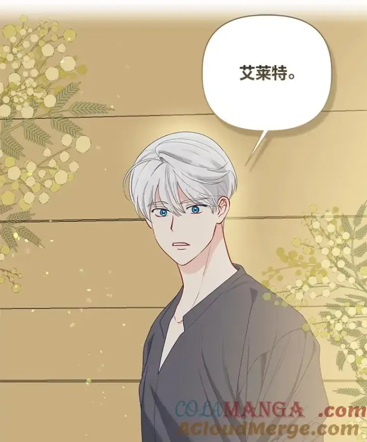 漫画《穿越者的幸运礼》88.冰雪女王的童话第21张图
