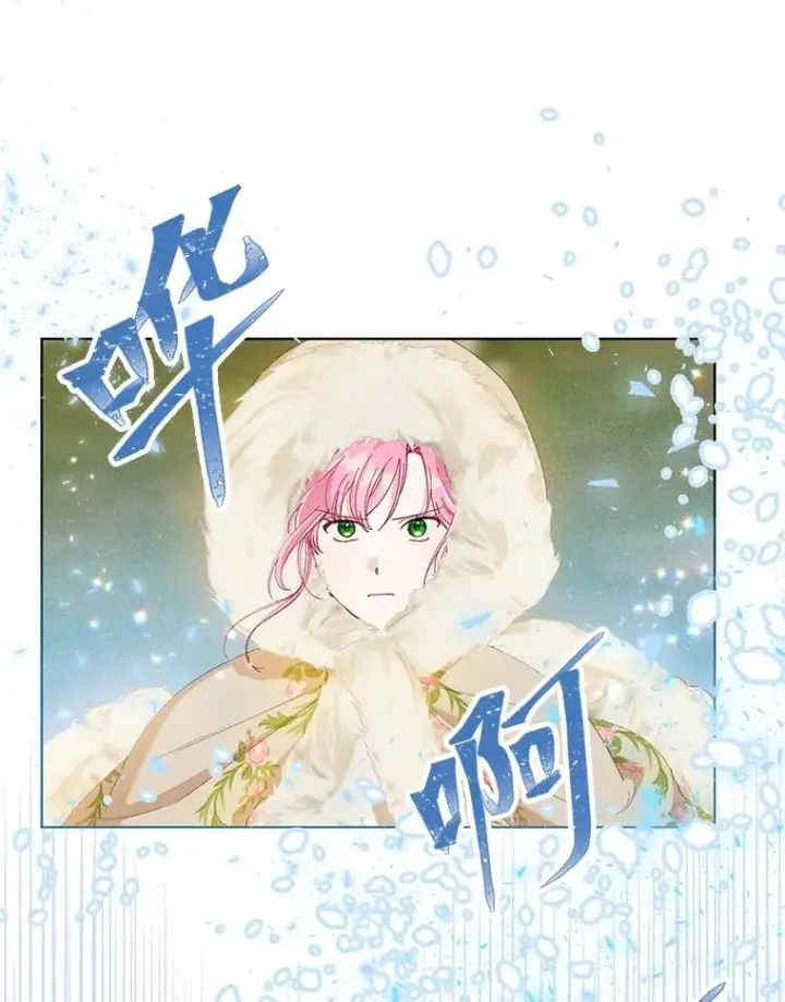 漫画《穿越者的幸运礼》89.进入冰城第33张图