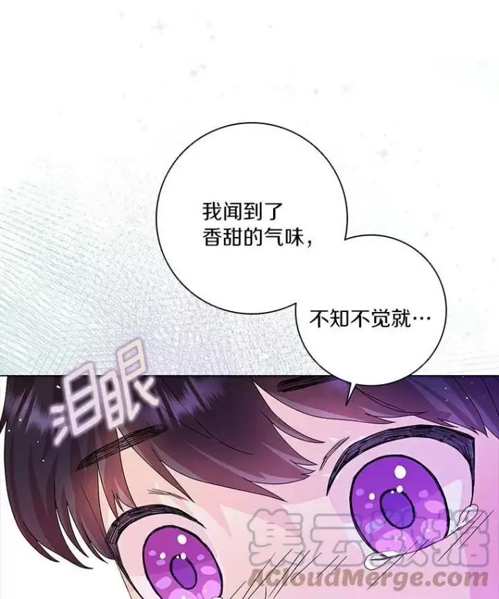 《辞掉了我的坏婆婆，所有人都为我着迷》8.烤曲奇图13