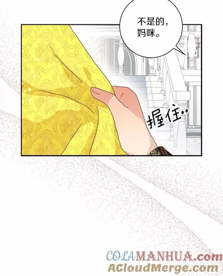 《辞掉了我的坏婆婆，所有人都为我着迷》41.幸福图45