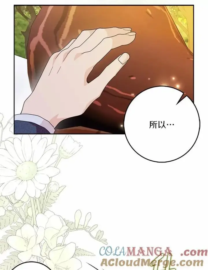 《辞掉了我的坏婆婆，所有人都为我着迷》70.练习骑马图77