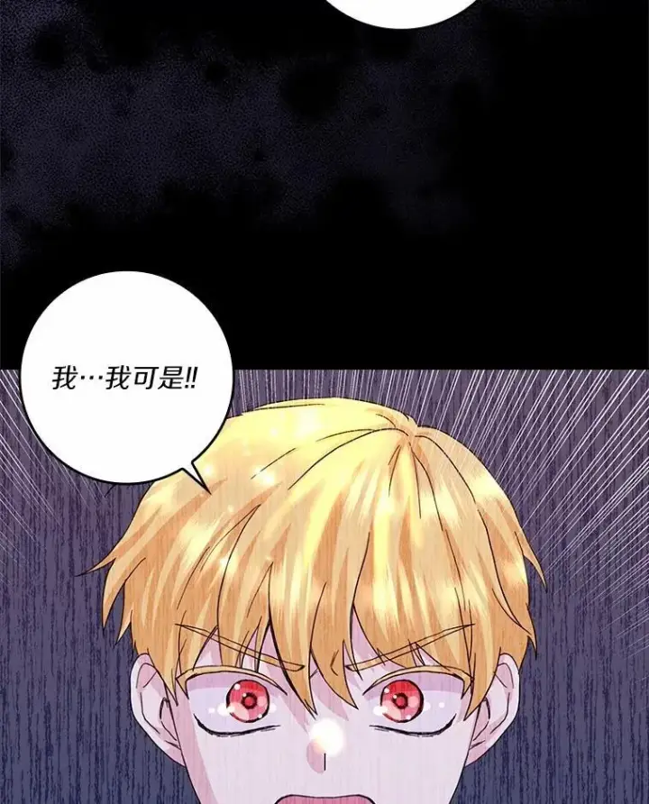 《辞掉了我的坏婆婆，所有人都为我着迷》71.家人，我的支柱图2