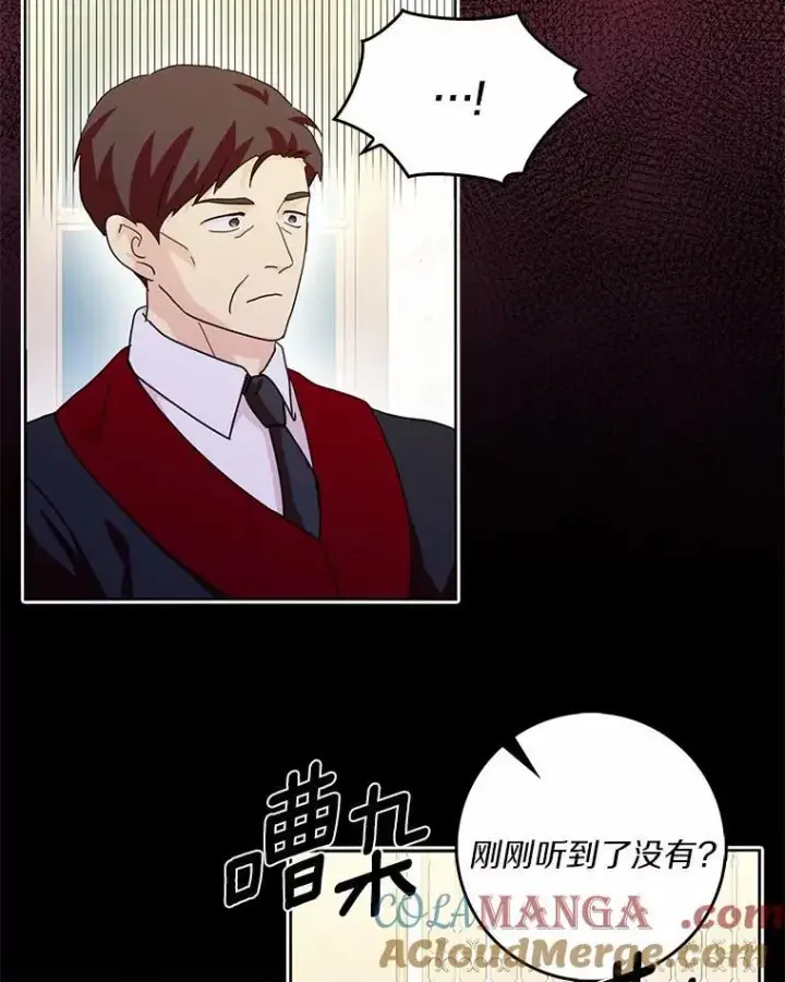 《辞掉了我的坏婆婆，所有人都为我着迷》75.被算计图29