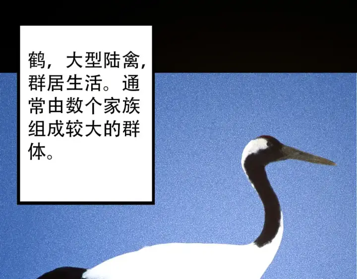 《从大树开始的进化》第54话 百兽之王的威严图105