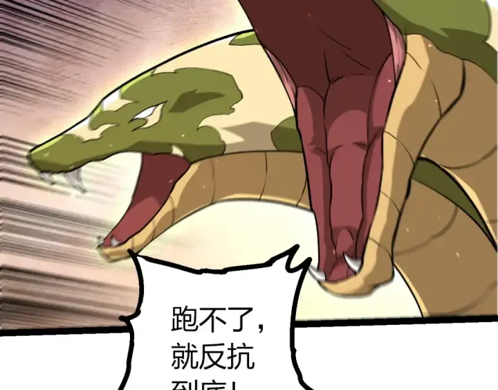 《从大树开始的进化》第444话 六阶灵体图69