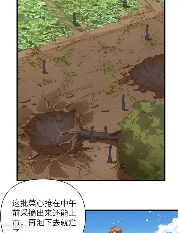 《从今天开始当城主》第327话图9