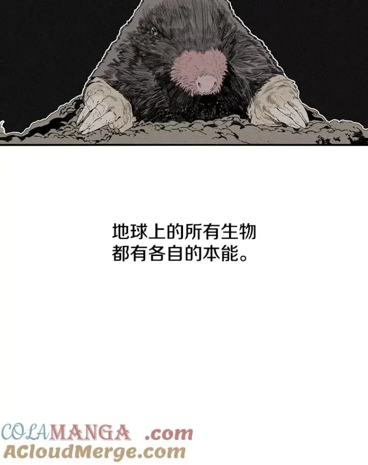 《存在》14.神的本能图33