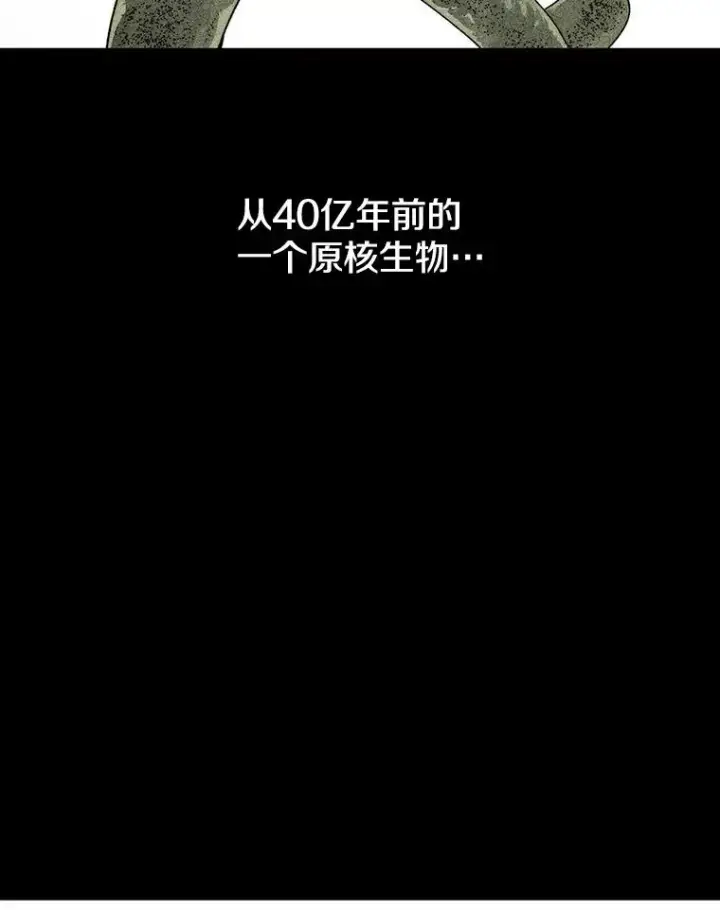 《存在》54.究极轮回图50