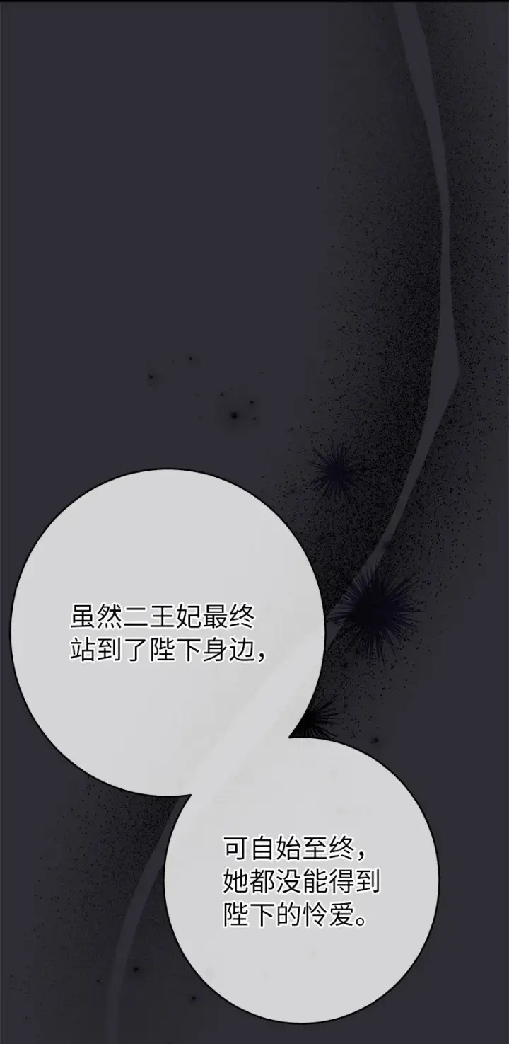 漫画《错把结婚当交易，却意外的甜蜜？》26 二王子的身世第103张图