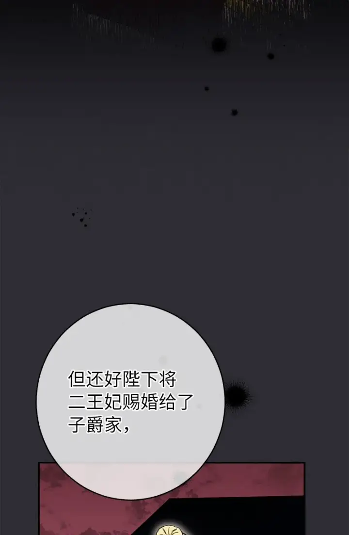 漫画《错把结婚当交易，却意外的甜蜜？》26 二王子的身世第95张图