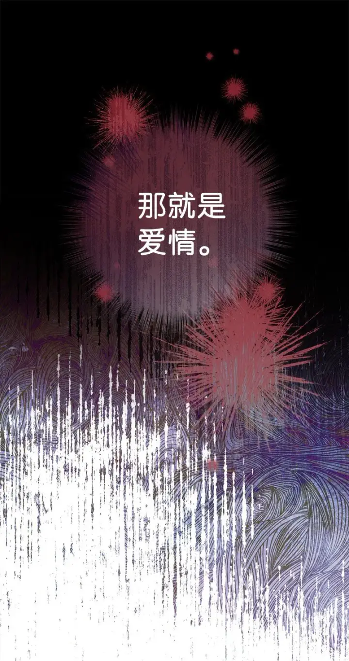 《错把结婚当交易，却意外的甜蜜？》36 再见费尔南图74