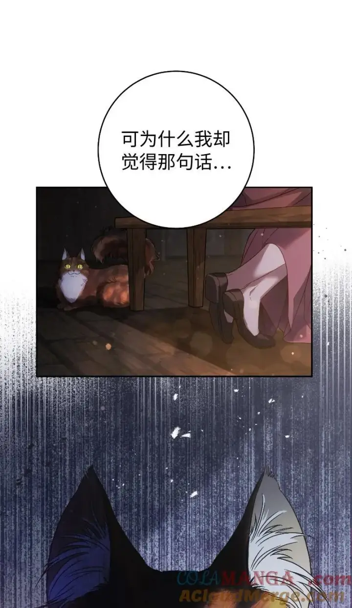 漫画《错把结婚当交易，却意外的甜蜜？》138 促膝长谈第49张图