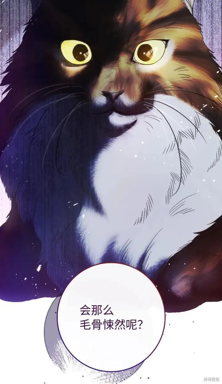 漫画《错把结婚当交易，却意外的甜蜜？》第138话第50张图