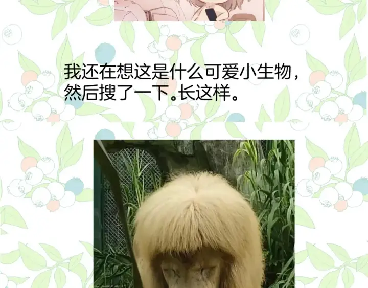 漫画《错撩》休刊问答3第11张图