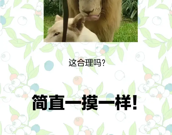 漫画《错撩》休刊问答3第12张图
