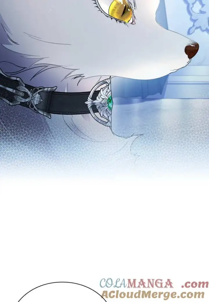 《错养了九尾狐》第33话图25