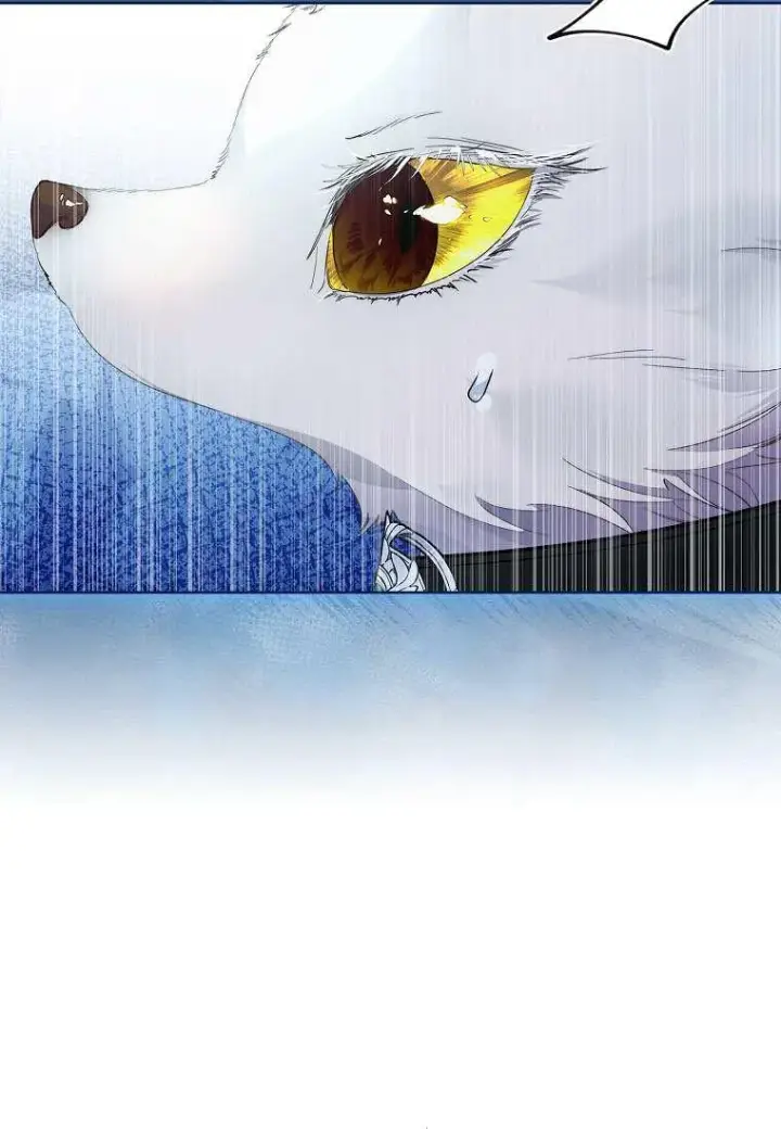 《错养了九尾狐》第33话图76