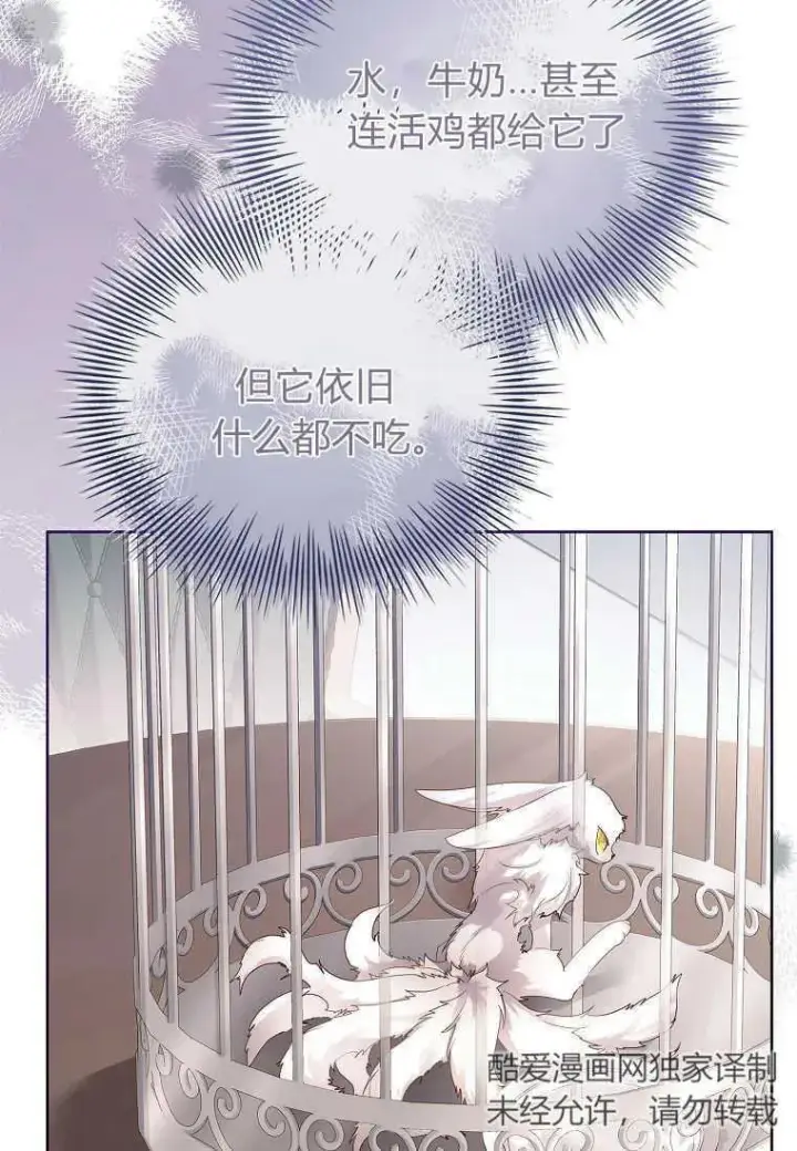 《错养了九尾狐》第04话图55