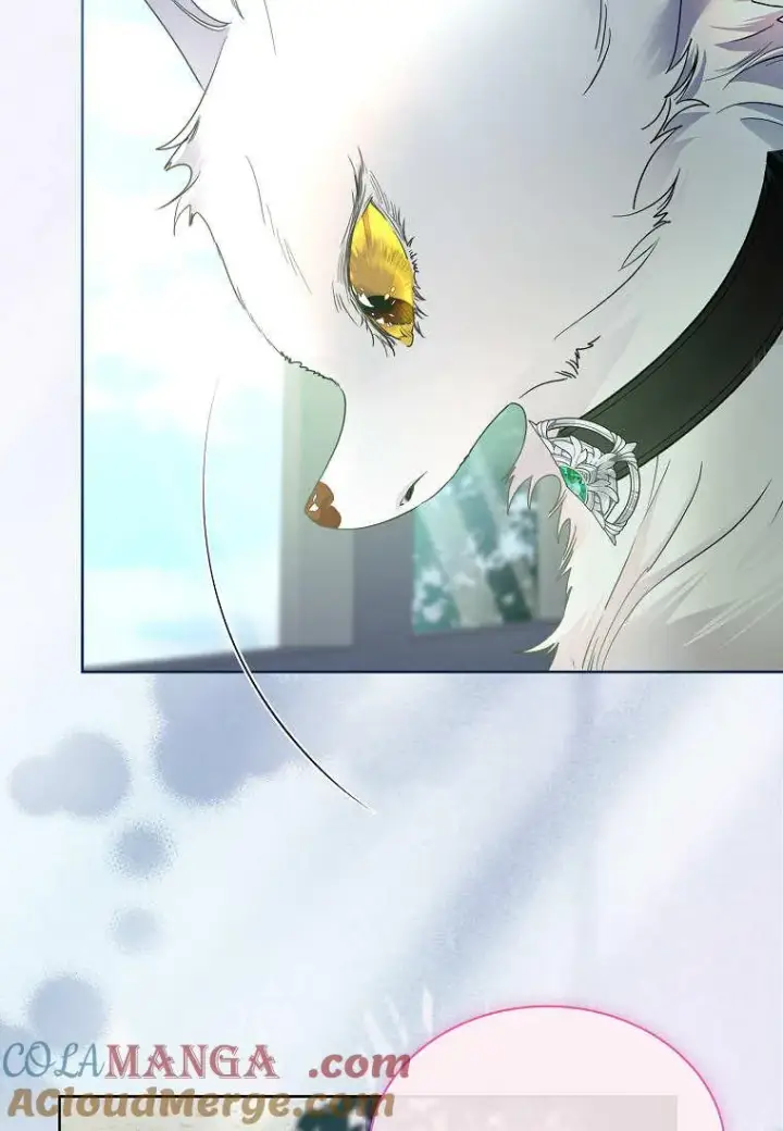 《错养了九尾狐》第36话图9