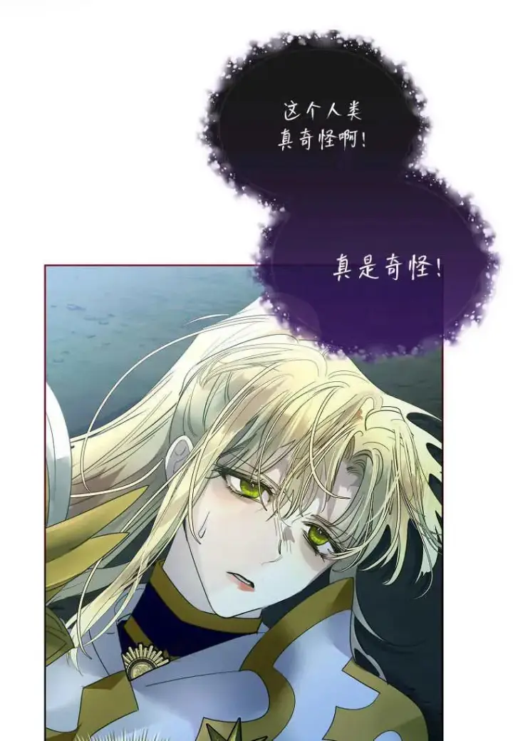 《错养了九尾狐》第40话图8