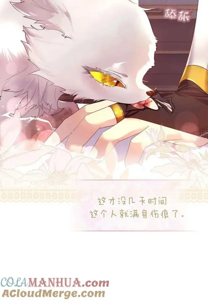 《错养了九尾狐》第08话图49