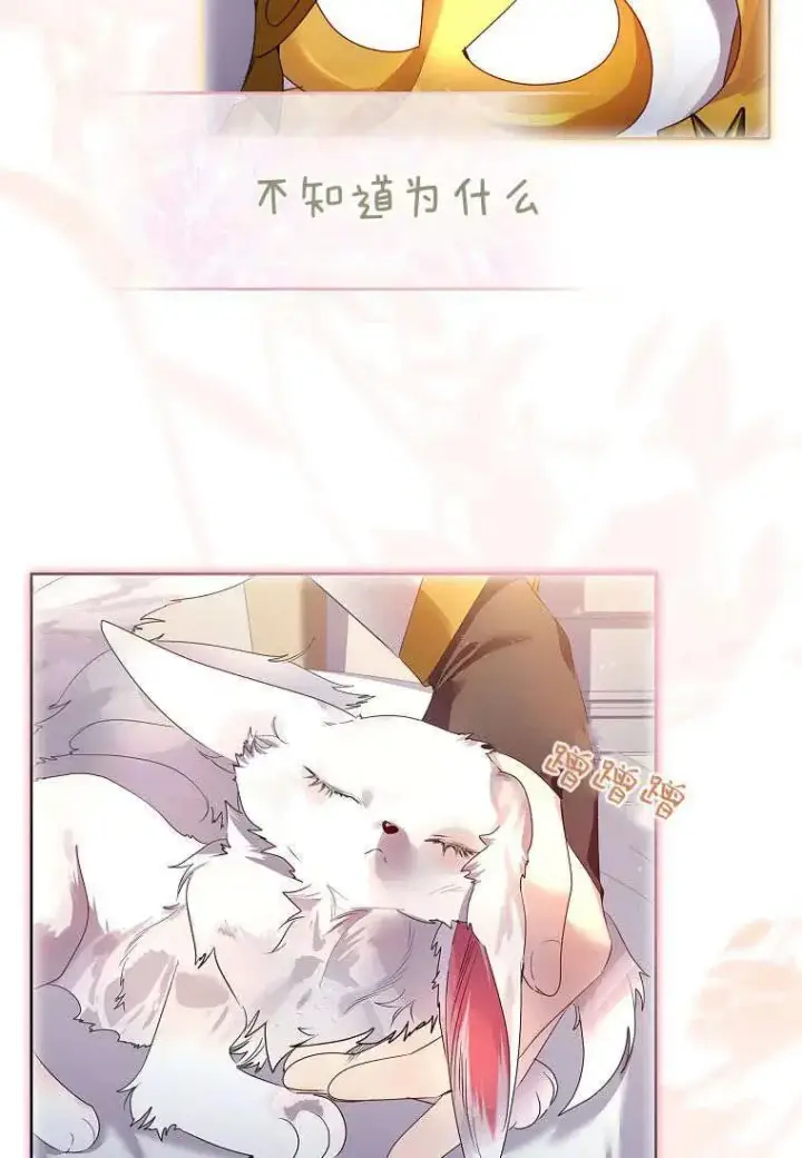 《错养了九尾狐》第08话图51