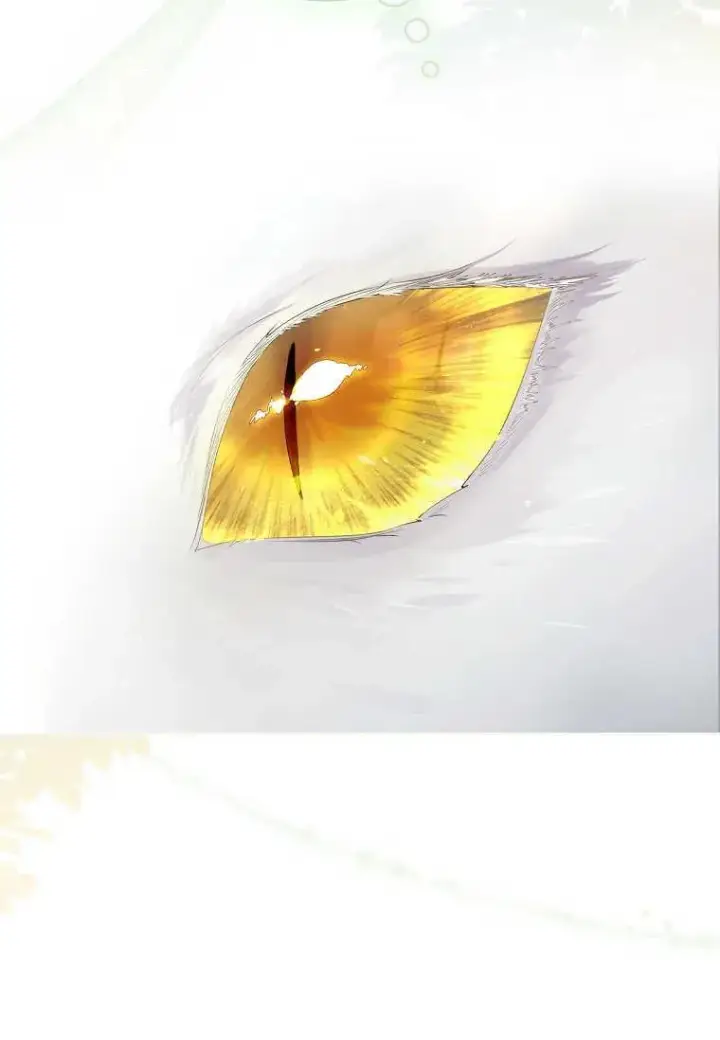 《错养了九尾狐》第09话图52