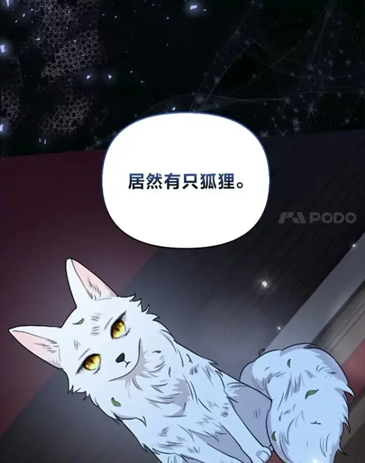 《大公家的狐狸皇女》1.皇女的葬礼图33
