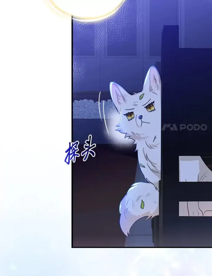 《大公家的狐狸皇女》2.坎坷的人生图106