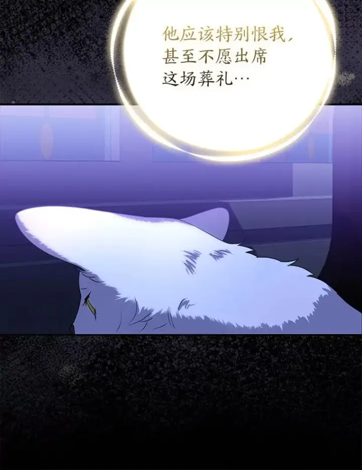 《大公家的狐狸皇女》2.坎坷的人生图112