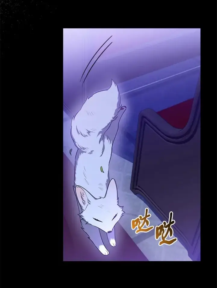 《大公家的狐狸皇女》2.坎坷的人生图115