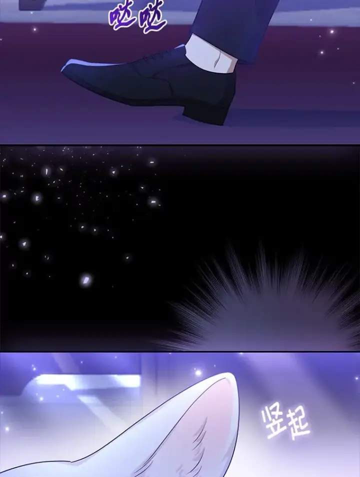 《大公家的狐狸皇女》2.坎坷的人生图118