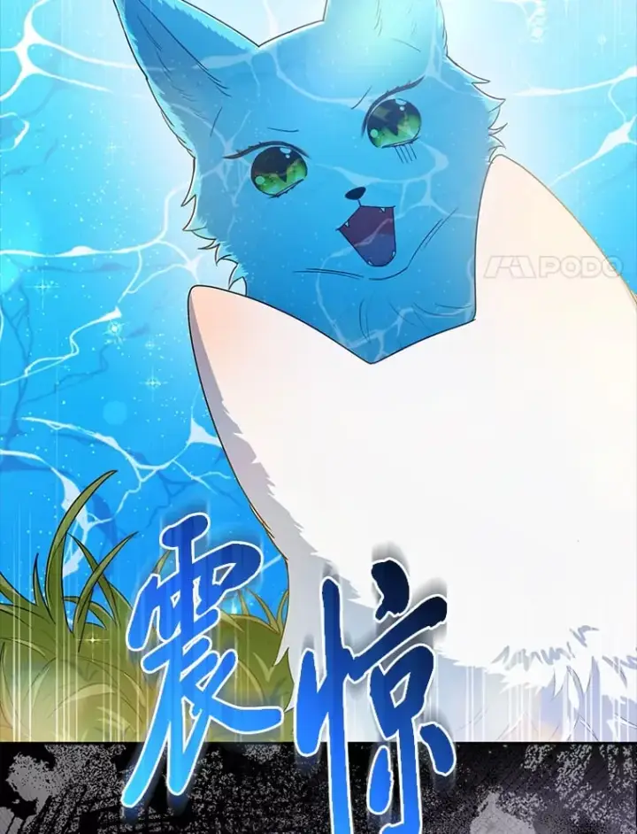 《大公家的狐狸皇女》2.坎坷的人生图64