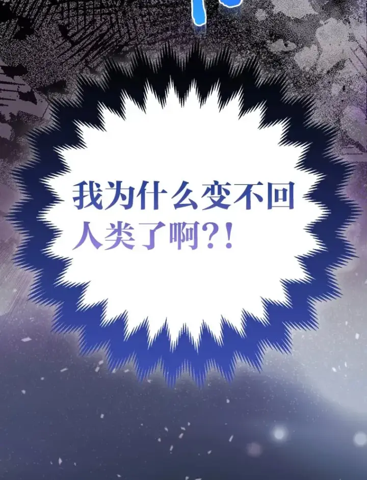 《大公家的狐狸皇女》2.坎坷的人生图65
