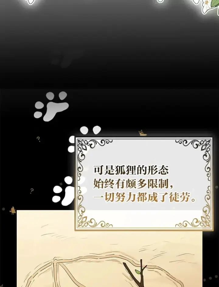 《大公家的狐狸皇女》2.坎坷的人生图68