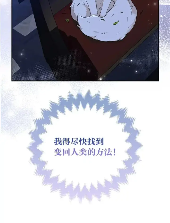 《大公家的狐狸皇女》2.坎坷的人生图78