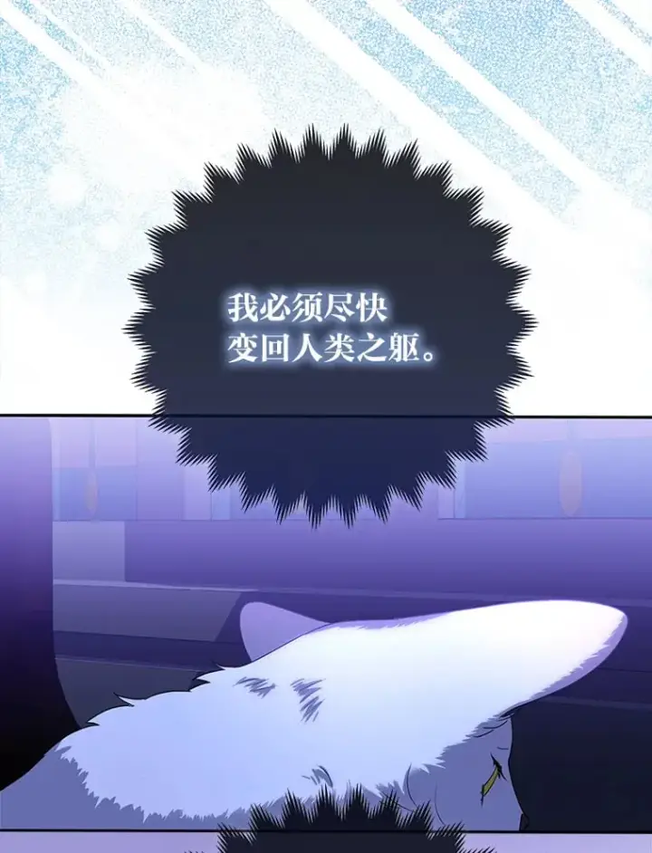 《大公家的狐狸皇女》2.坎坷的人生图84