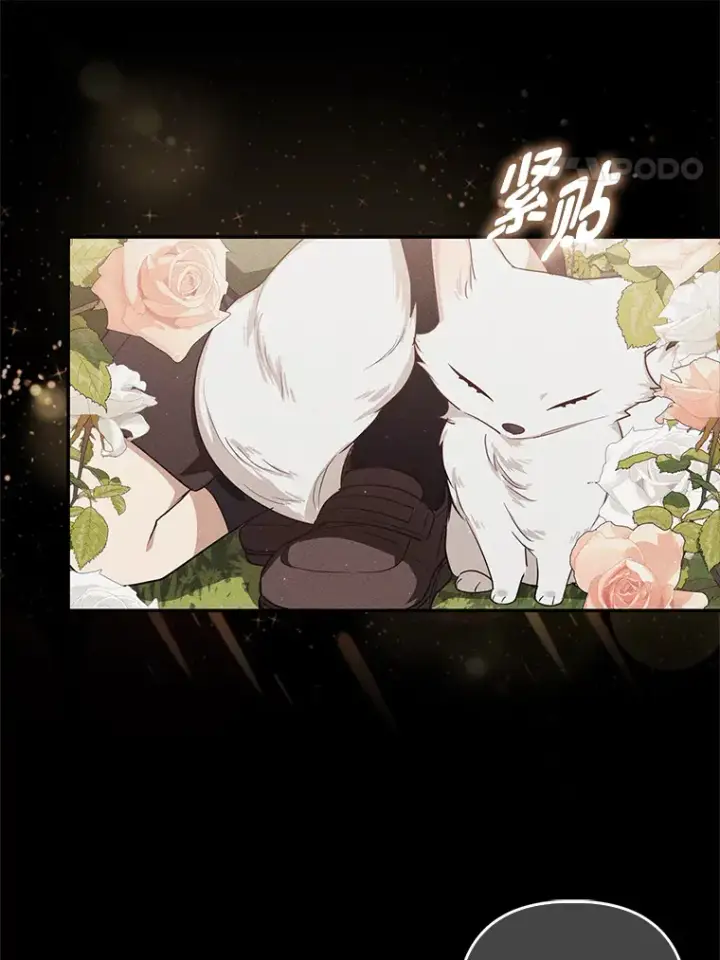 《大公家的狐狸皇女》3.求收养！图28