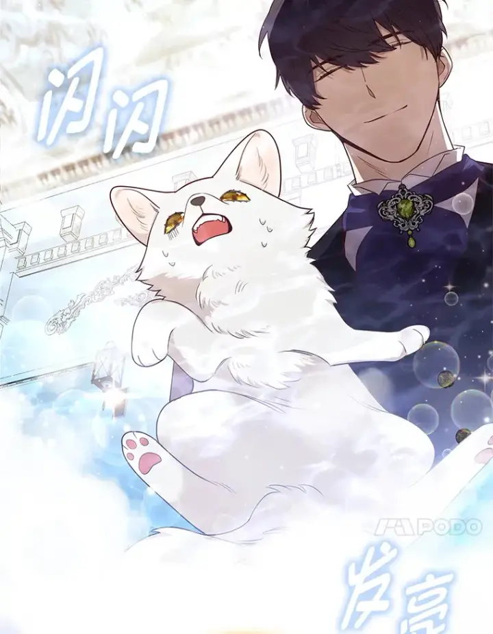 《大公家的狐狸皇女》3.求收养！图73