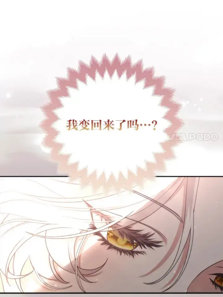 《大公家的狐狸皇女》3.求收养！图80