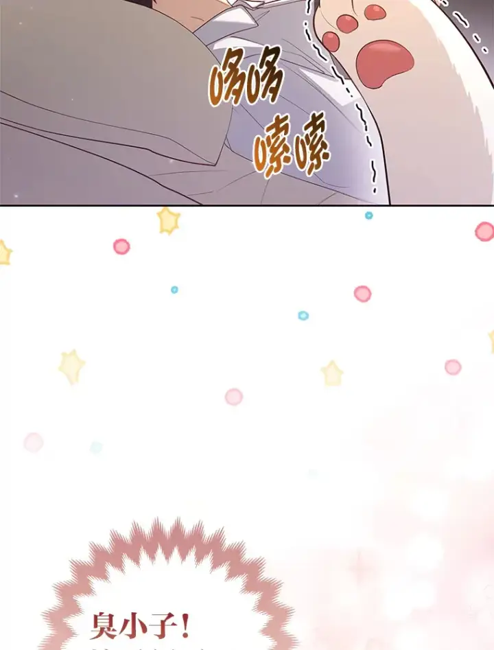 《大公家的狐狸皇女》3.求收养！图95