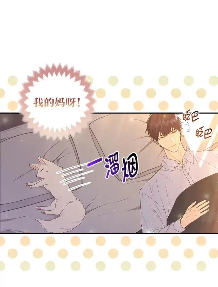 《大公家的狐狸皇女》3.求收养！图98