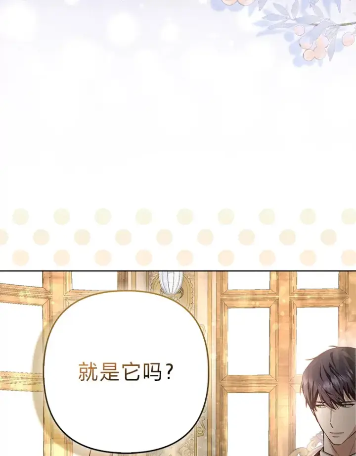 《大公家的狐狸皇女》4.我的狐狸图101