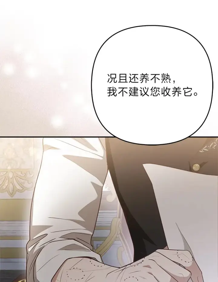 《大公家的狐狸皇女》4.我的狐狸图104