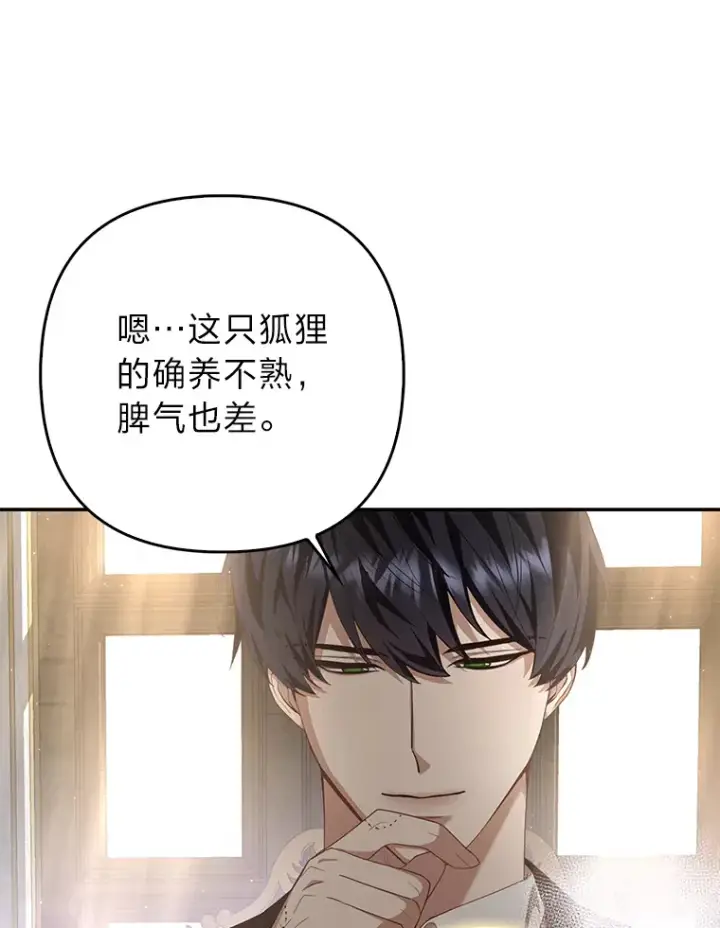 《大公家的狐狸皇女》4.我的狐狸图108