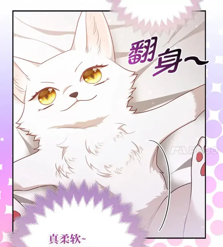 《大公家的狐狸皇女》4.我的狐狸图11