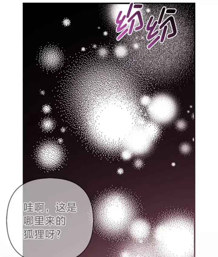 《大公家的狐狸皇女》4.我的狐狸图17