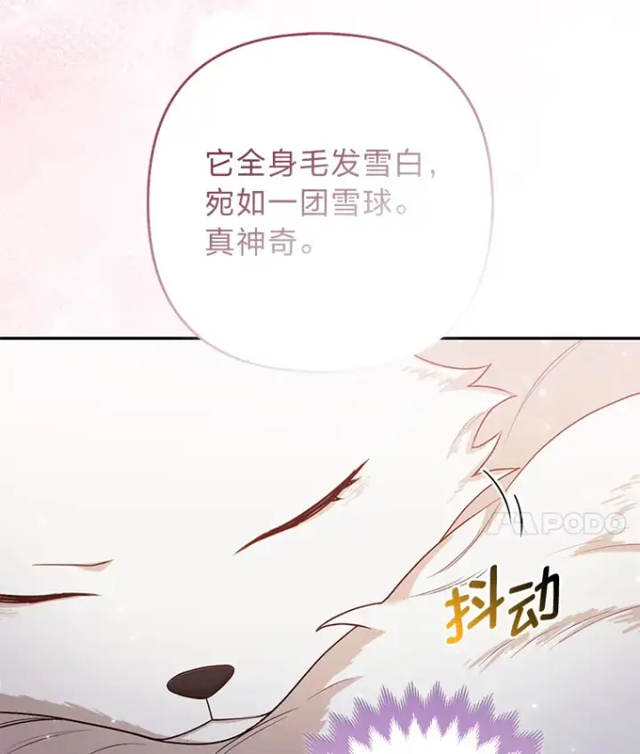 《大公家的狐狸皇女》4.我的狐狸图19