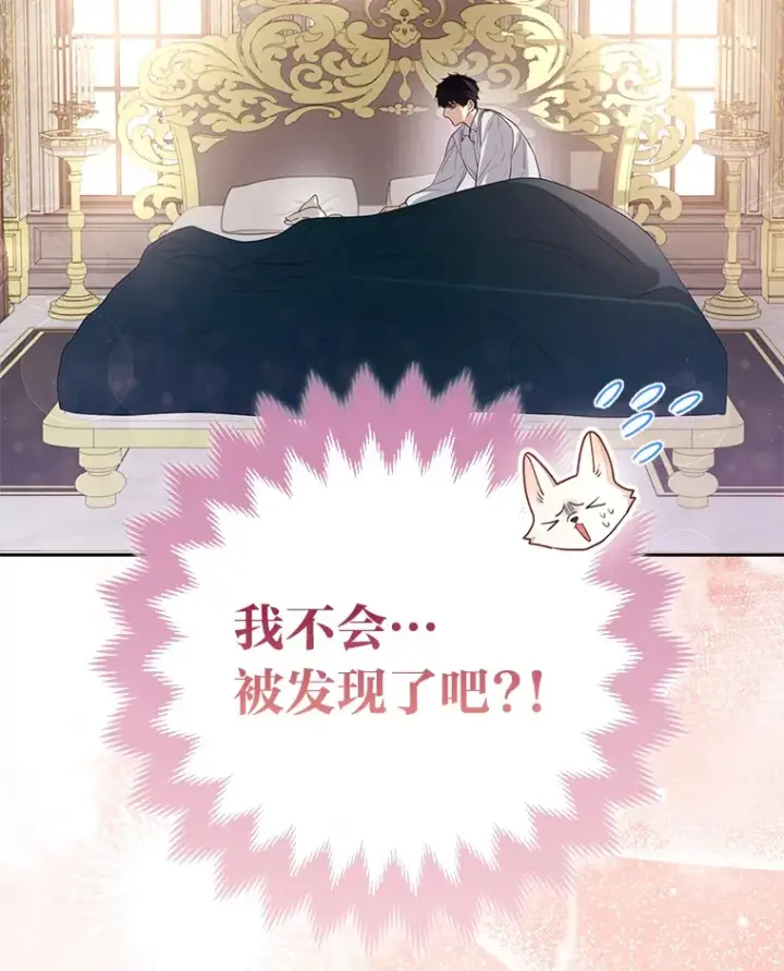 《大公家的狐狸皇女》4.我的狐狸图2