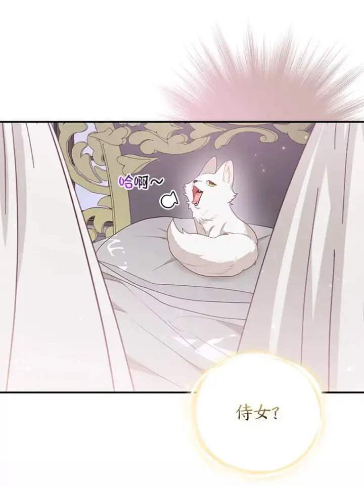 《大公家的狐狸皇女》4.我的狐狸图22